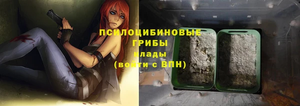 амф Аркадак