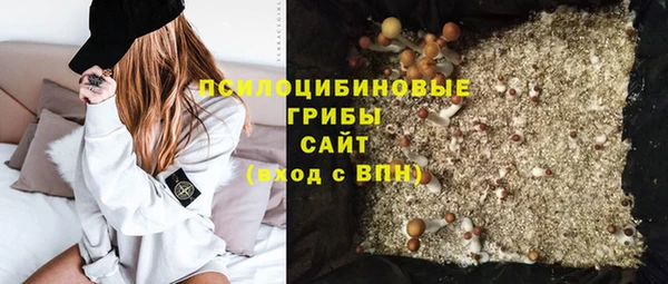 экстази Арсеньев