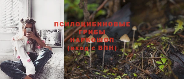амф Аркадак