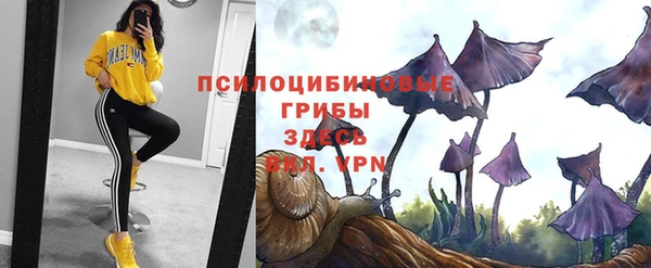 бошки Армянск