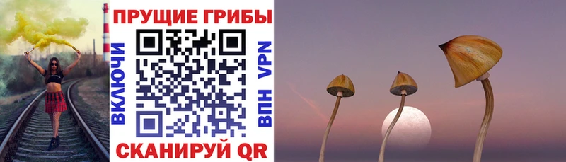 Псилоцибиновые грибы MAGIC MUSHROOMS  Павловский Посад 